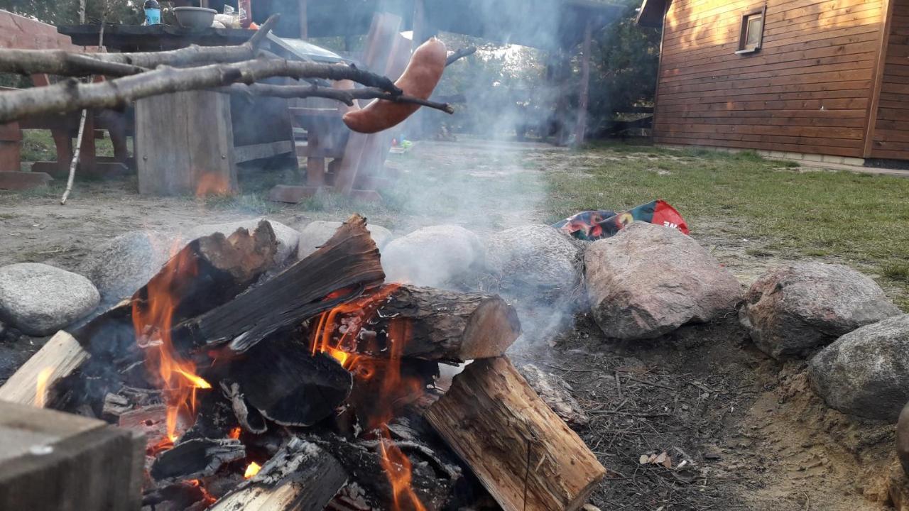 Hacjenda Lesny Zaulek Daire Włodawa Dış mekan fotoğraf